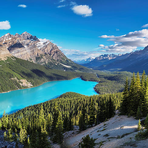 Alberta Vacation Delivery Service